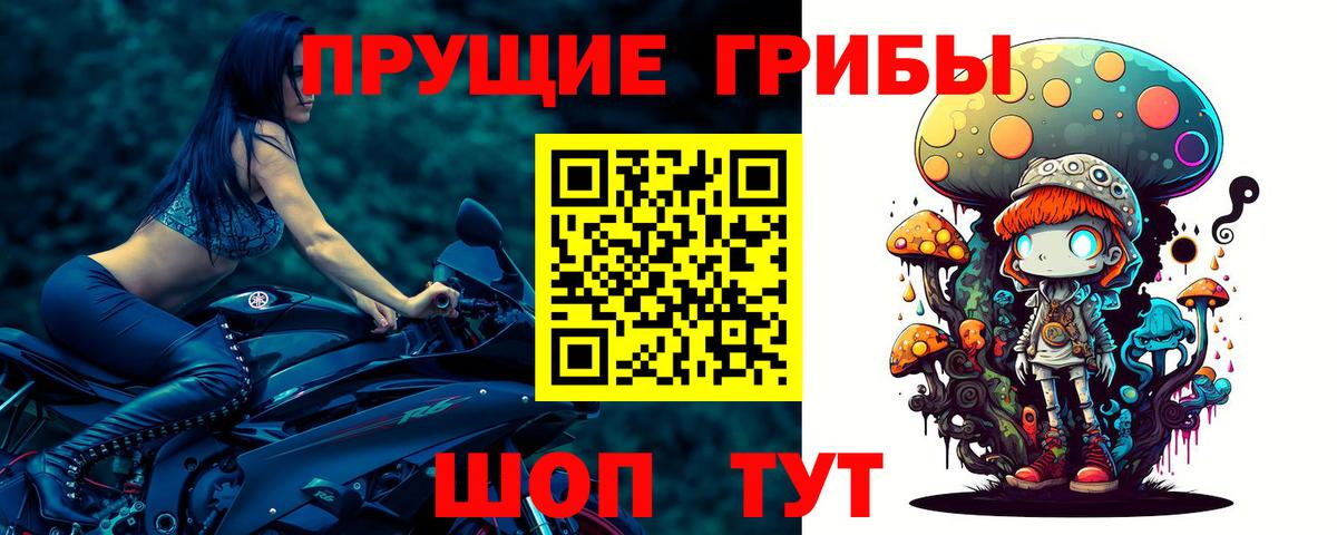 Псилоцибиновые грибы Psilocybe  Вход с VPN  Калининград  где можно купить наркотик  Псилоцибиновые грибы Psilocybine cubensis 