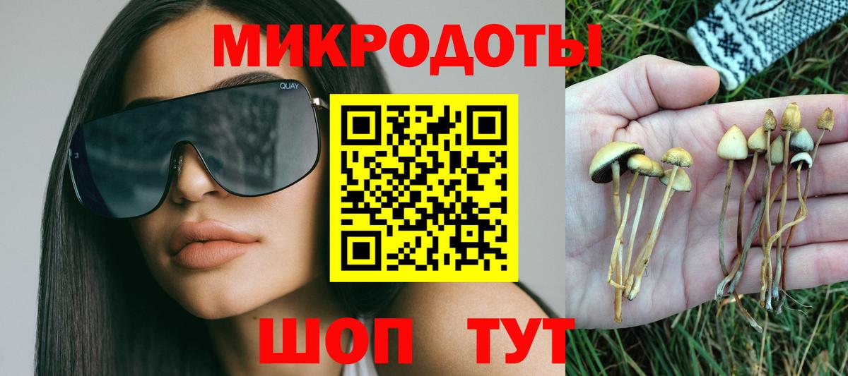 Галлюциногенные грибы Magic Shrooms Калининград